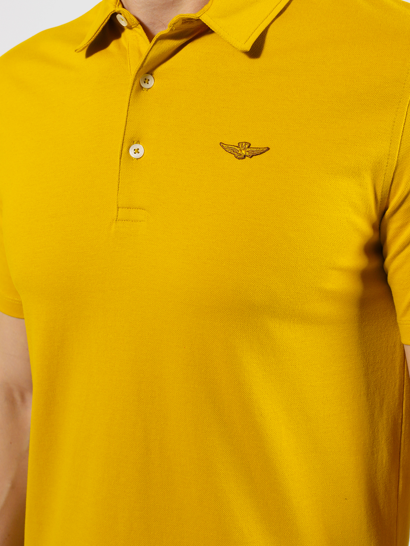 

Aeronautica Militare Поло, Zheltyy, Поло