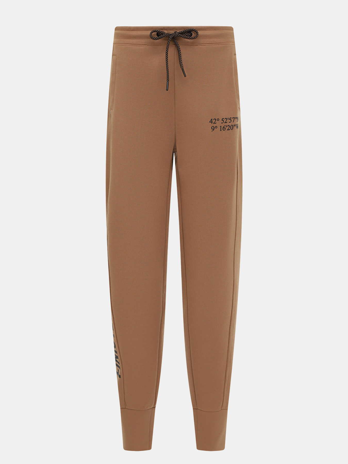 Спортивные брюки Finisterre. Цвет: коричневый
