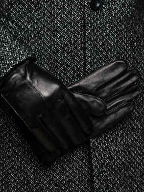 Перчатки Ritter. Цвет default. Изображение 4