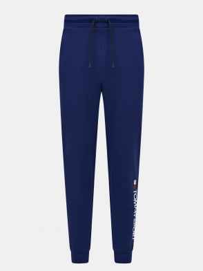 Брюки Tommy Sport. Цвет синий. Изображение 1