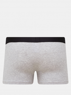 Мужские боксеры Trunk Brother (2 шт) HUGO Мужские боксеры Trunk Brother (2 шт) HUGO