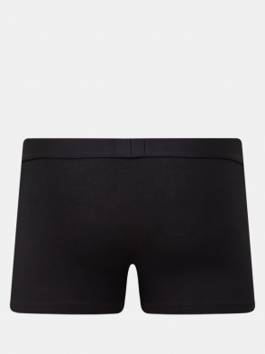 Мужские боксеры Trunk Brother (2 шт) HUGO Мужские боксеры Trunk Brother (2 шт) HUGO